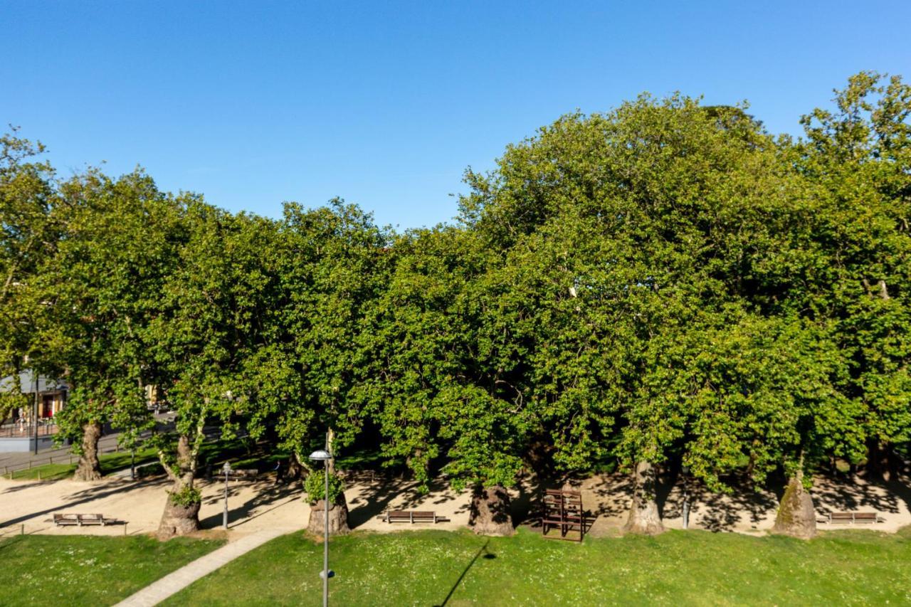 Tripas-Coracao, Cordoaria River View, Garden View Or Loft Πόρτο Εξωτερικό φωτογραφία